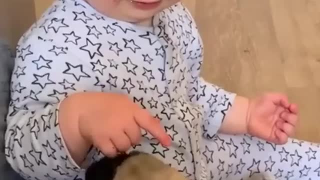 BEAUTIFUL BABY PLAYING WITH HER VERY CUTE DOGGIE