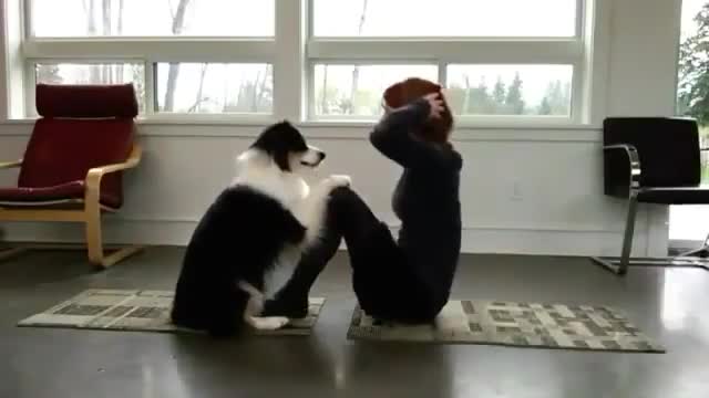 Do you see that' The Dog doing Yoga🧘‍♀️With Woman Best Training Dog