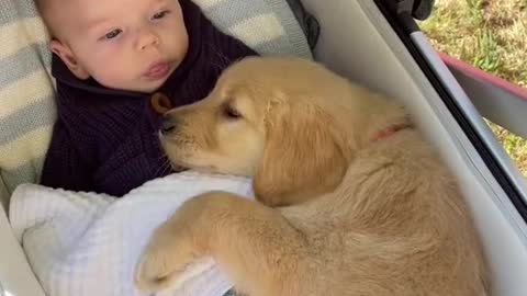 Cute baby and dog