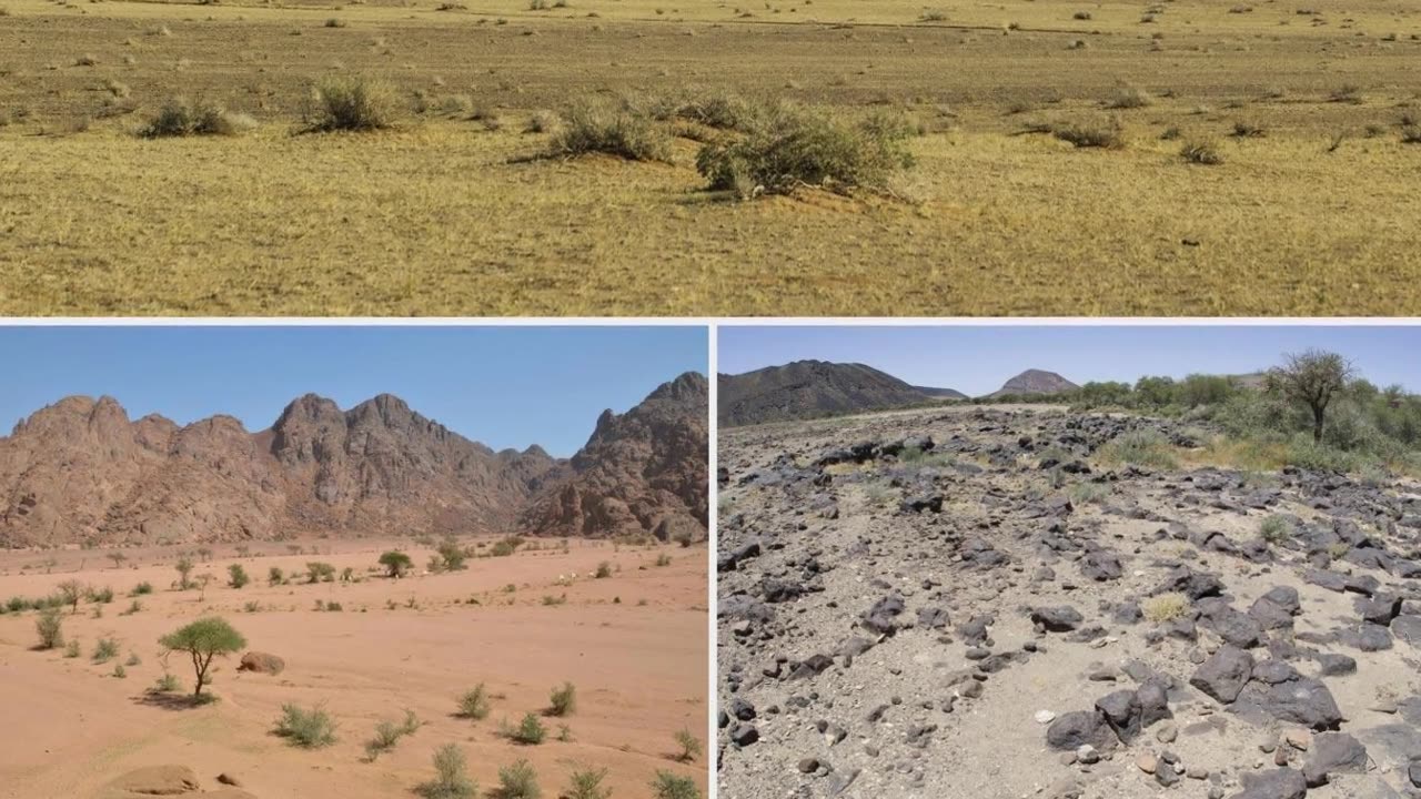 Mysterious New Snake Species Discovered in Saudi Arabia