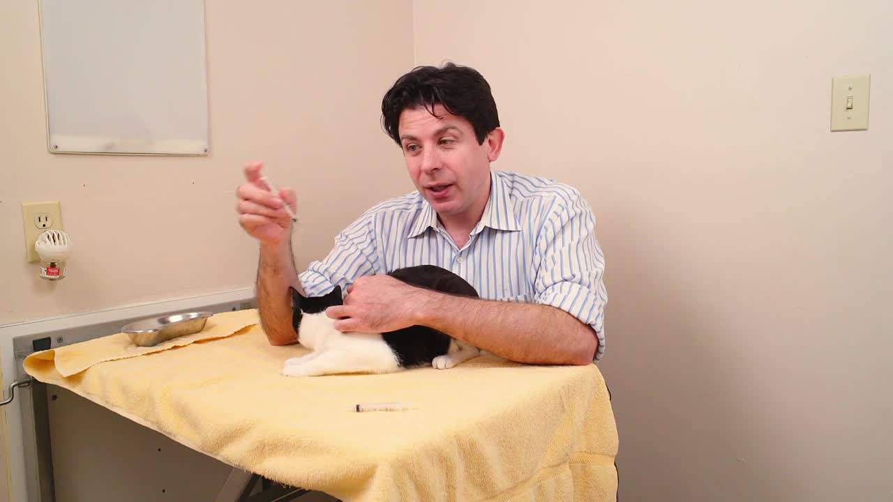 How to give liquid medication to a cat