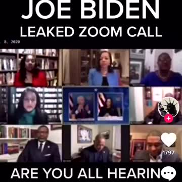 Politics - 2020 Biden Leaked Zoom Call Whites