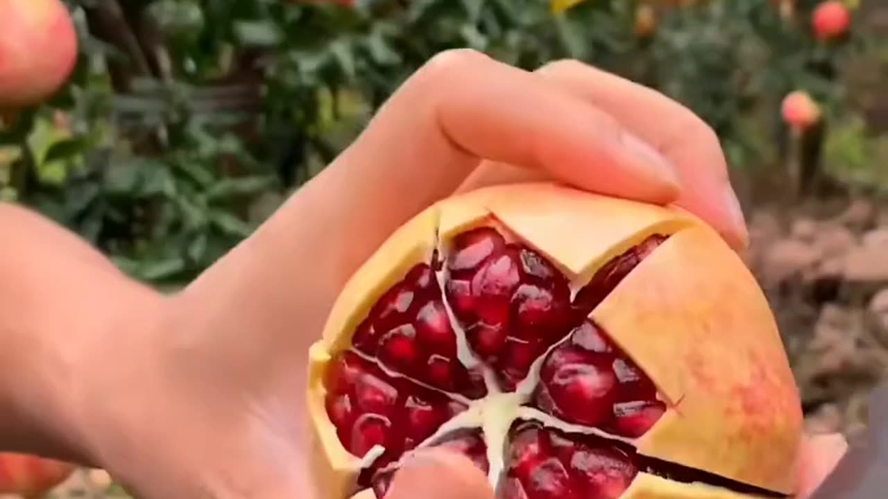 Very fresh and sweet pomegranate - For fruit lovers 10