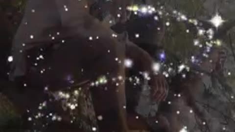 Best shayari status video