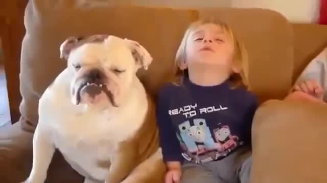 Sleeping babies tv