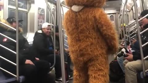 Person in a hamster suit on a subway