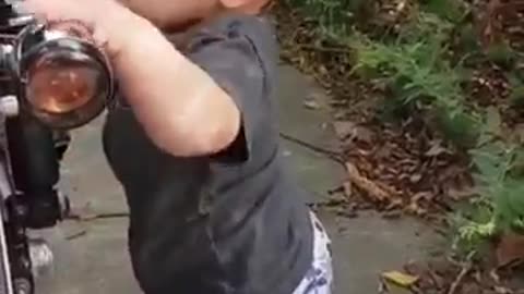 Funny videos