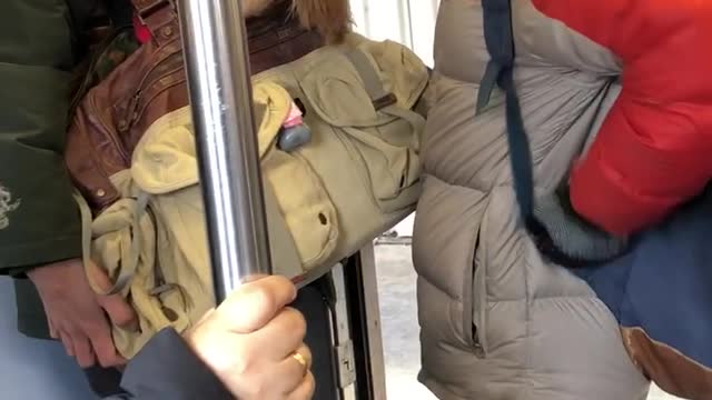 Brown dog inside brown bag carried by man green jacket