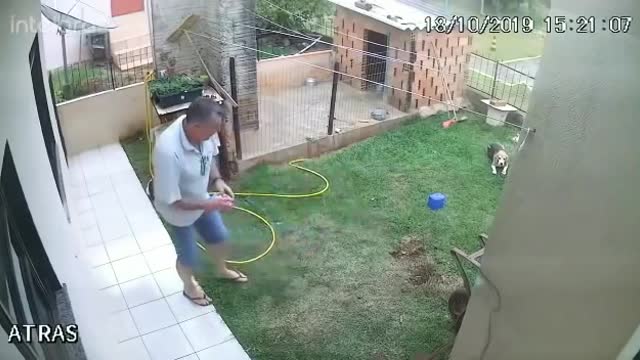 A man tries to kill ants with gasoline