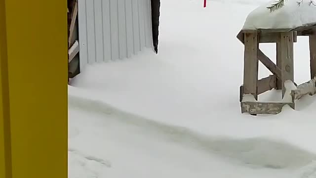 Winter in Russia will be so hard and cold