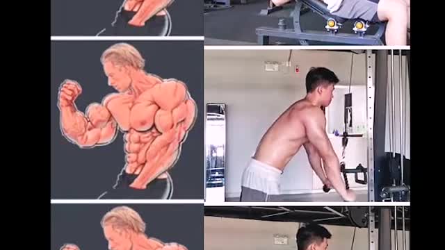 Just try this exercises at home for shoulder biceps triceps