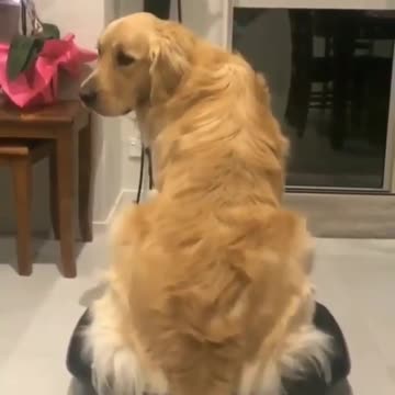 Working out before going to work