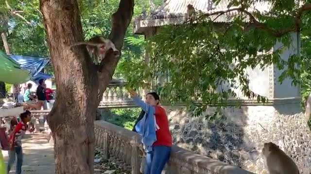 Fake Tiger prank With vary funny Tiger