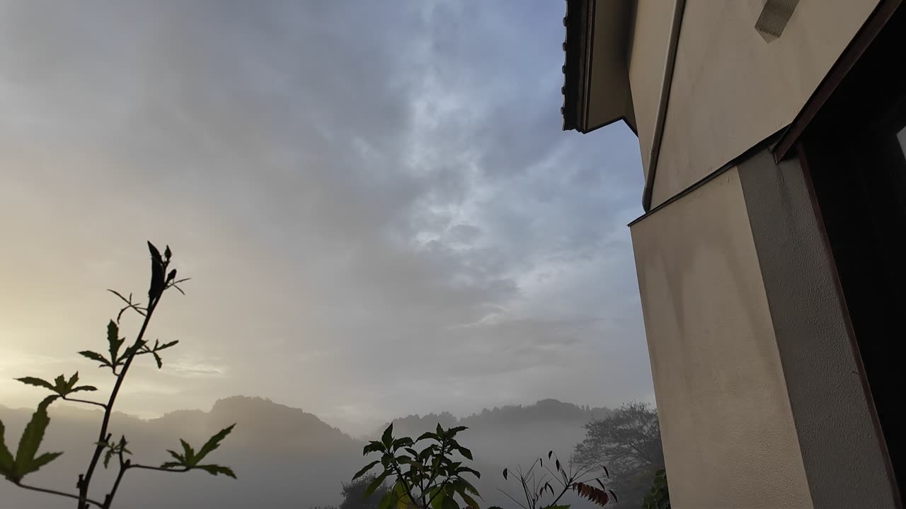 One Foggy Morning in Kamakura, Japan 🇯🇵