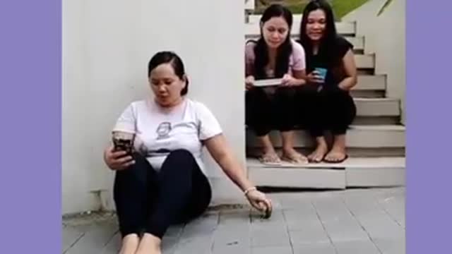 Funny Video Clips 124