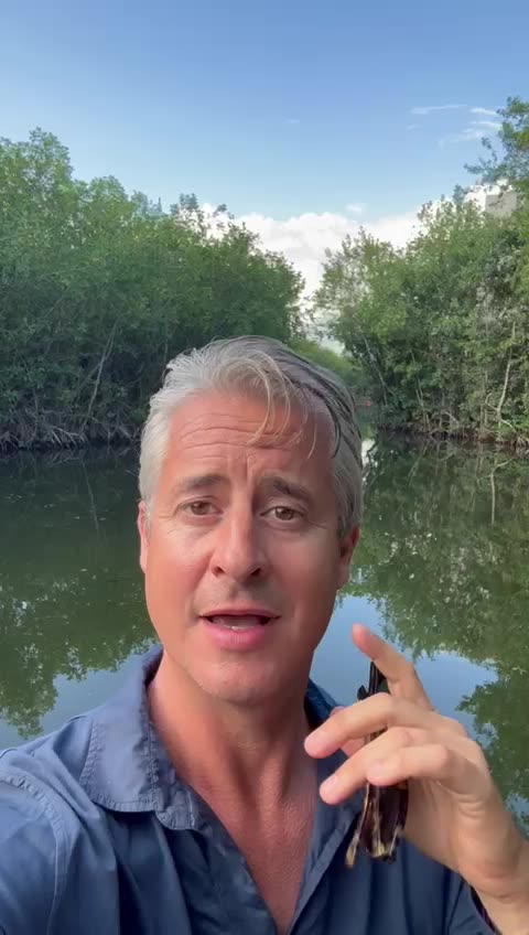 Three rules to becoming mentally fit