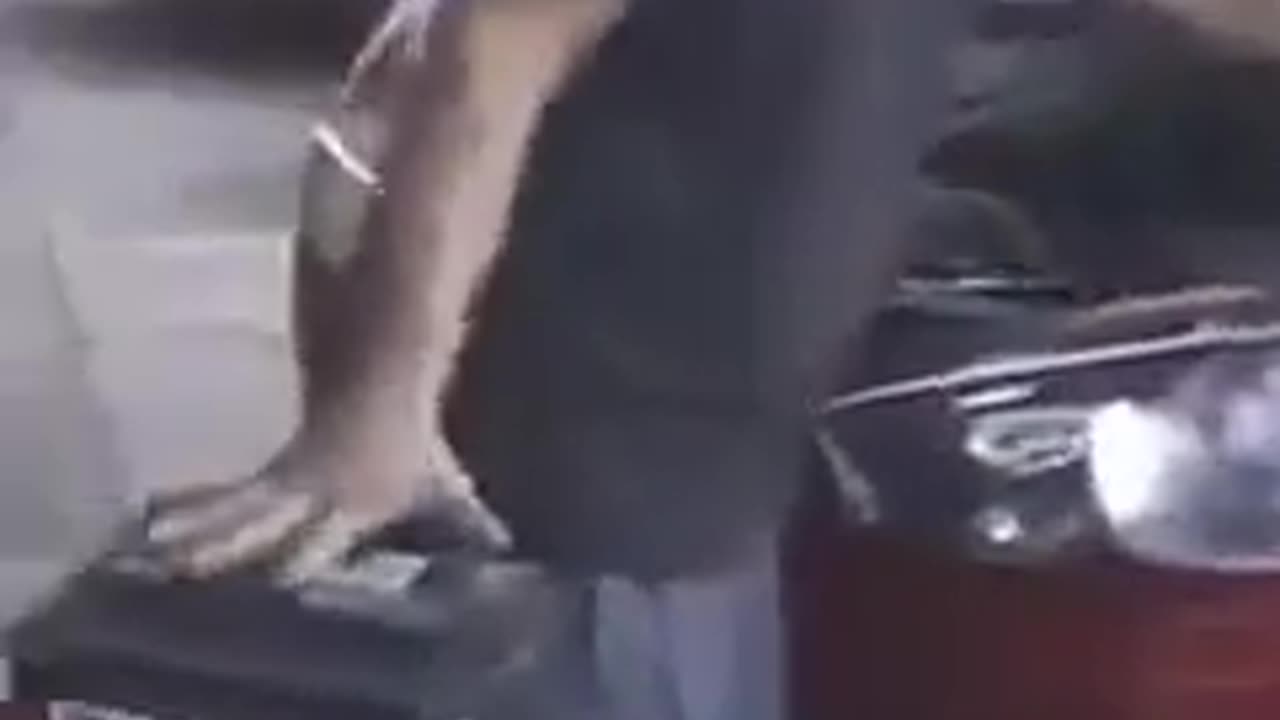 Zeus The Mechanic