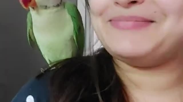 Naughty 😉 Parrot 🦜