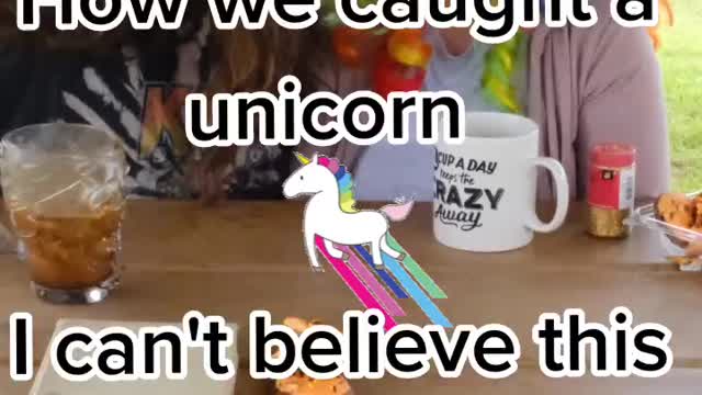 How we caught our unicorn, I can't believe this worked !