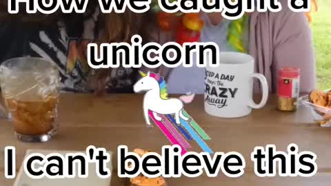 How we caught our unicorn, I can't believe this worked !