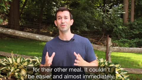 The Smoothie Diet: 21 Day Rapid Weight Loss Program