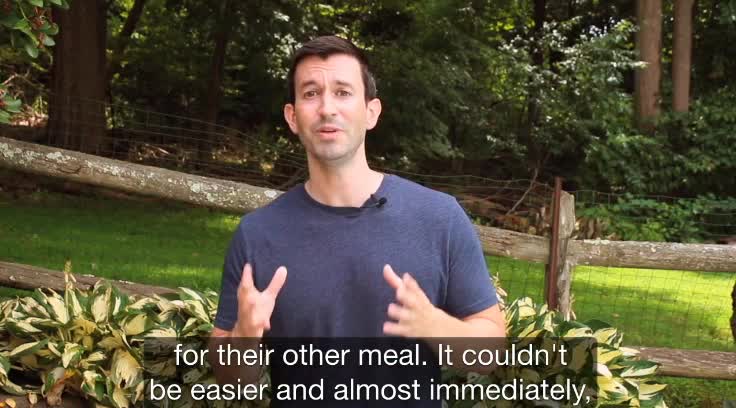 The Smoothie Diet: 21 Day Rapid Weight Loss Program