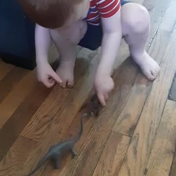 Playing with dinosaurs also possibly pooping