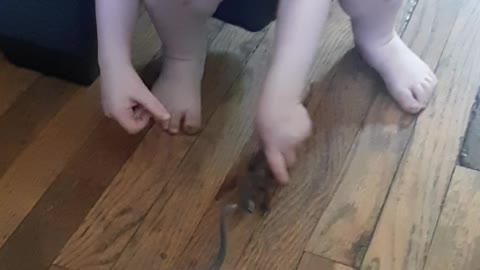 Playing with dinosaurs also possibly pooping