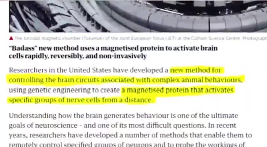 Thoughts On The Real Game by For The Love Of Truth