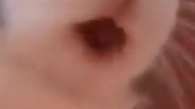 Funny Rabbit eating