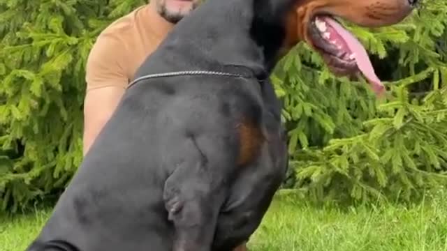 biggest s