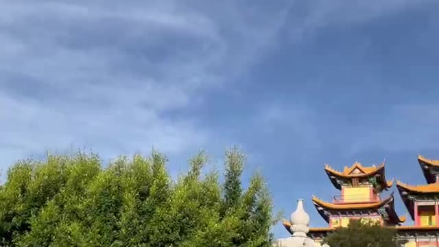 What a tall building