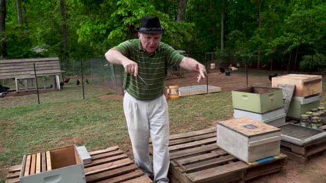 Пасека #71 Отводки Apiary #71 Layers -- Old Method - Beginner Beekeeping -