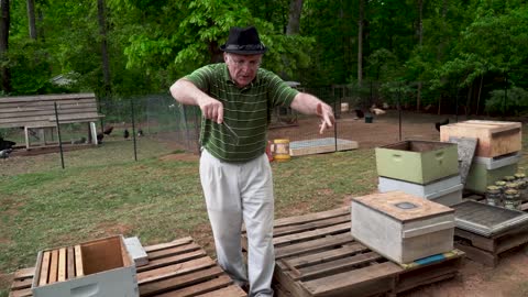 Пасека #71 Отводки Apiary #71 Layers -- Old Method - Beginner Beekeeping -