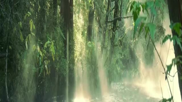 What daily saying can Teach You About Life? …relaxing sounds