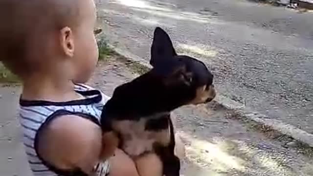 boy with a dog in his arms