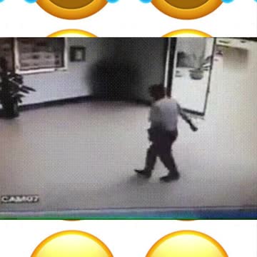 Dog invades building and it seems they don't know what to do next.