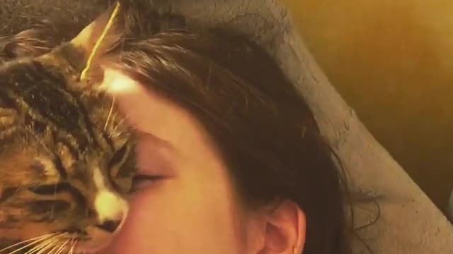 Overly affectionate kitty can't stop hugging owner's face