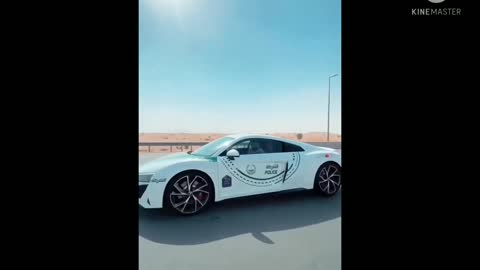 The buetiful luxury car