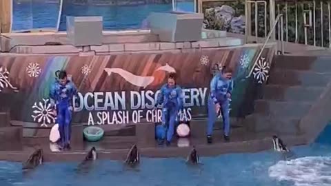 Sea World Show