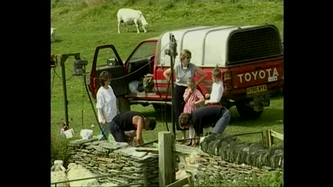 Sheering On Borough Farm