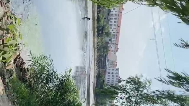Many people are fishing in the river