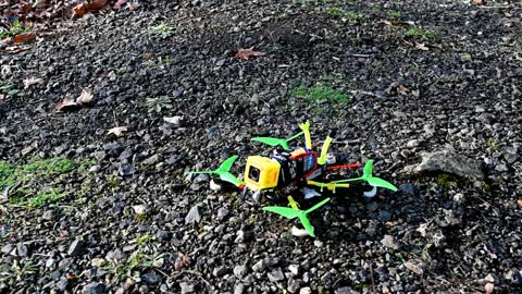 FPV DJI HD - The Winter Garden - Armattan Badger 6"