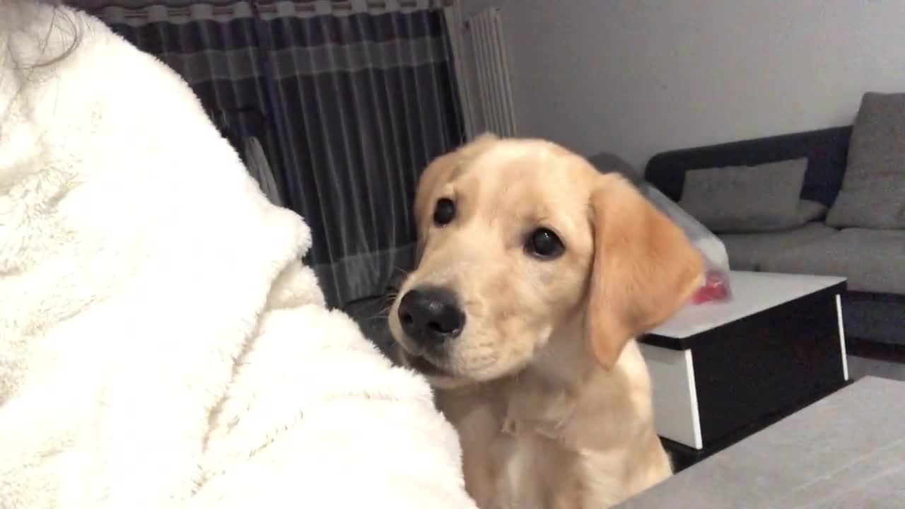 He was desperate for food