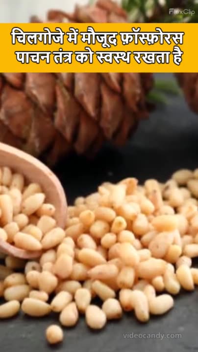 Many Benefits OF pine nuts