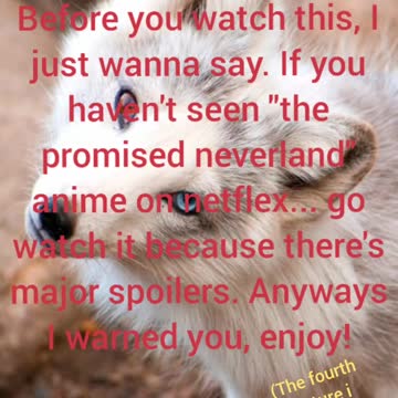 The Promised Neverland Cool wallpapers ect. (SPOILERS)