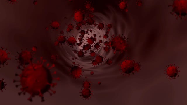 Corona virus 19