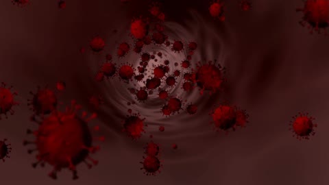 Corona virus 19