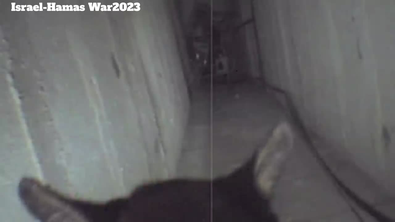 Israel-Hamas War2023 : Oketz (K9) dog inside the tunnel