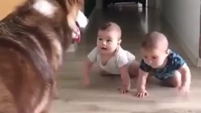 11 second baby funny video